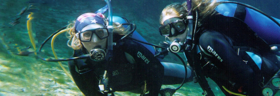 scuba dive crystal river